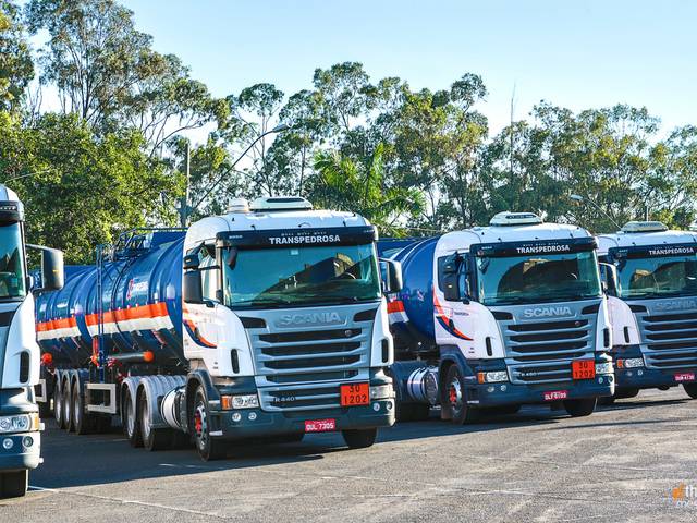 Corporativo de Transpedrosa