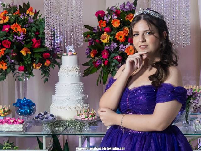 ANIVERSÁRIO de LAURA GUILHEN 15 ANOS