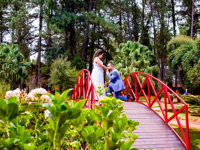 Ensaio Romântico de Lara Emanuelle e João