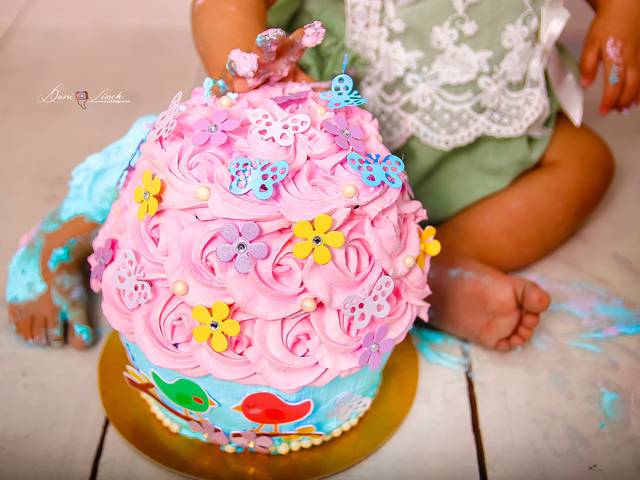 Smash The Cake de Smash The Cake 