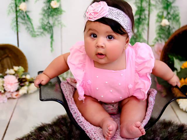 Acompanhamento Mensal de Acompanhamento Mensal Ana Laura 6 meses