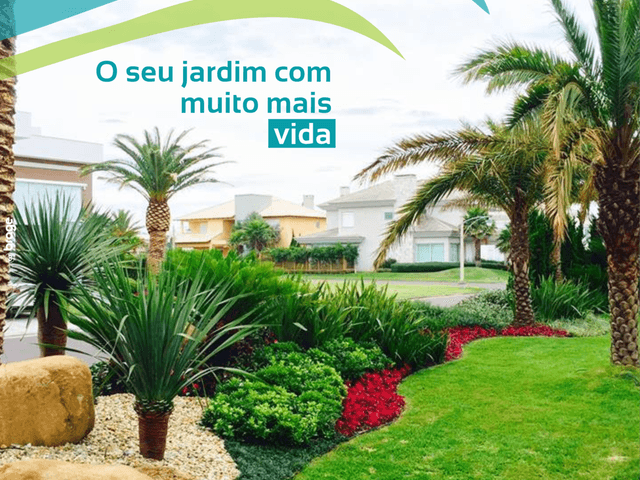 Gerenciamento de Mídias Sociais de Gramoterra