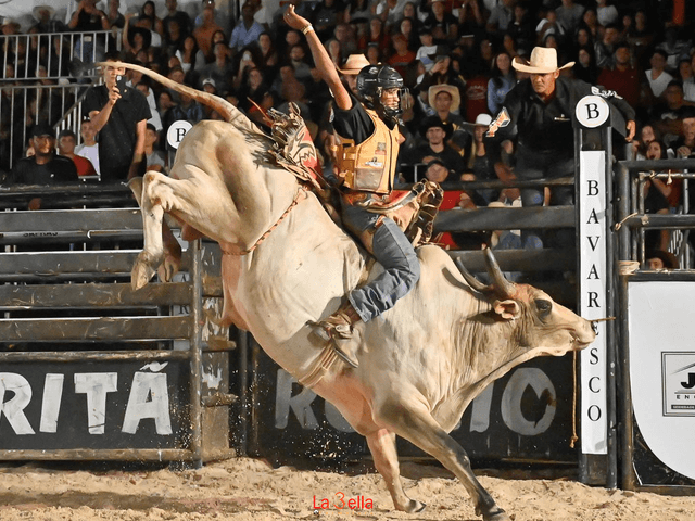 Coorporativo de 3º DIA RODEIO 