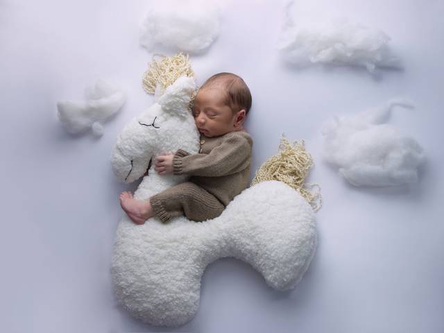 Newborn Meninos de Anthony