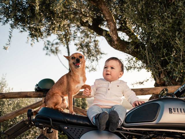 Família de Sessão de Família em Soure