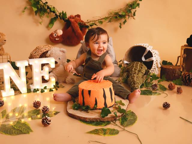 Smash the Cake de Smash the Cake