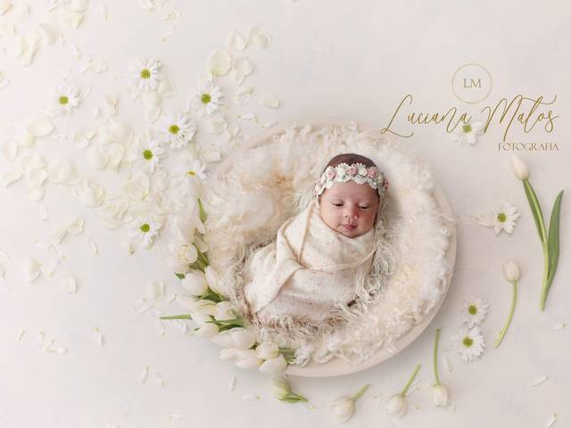 Newborn de ensaio Newborn Hillary 