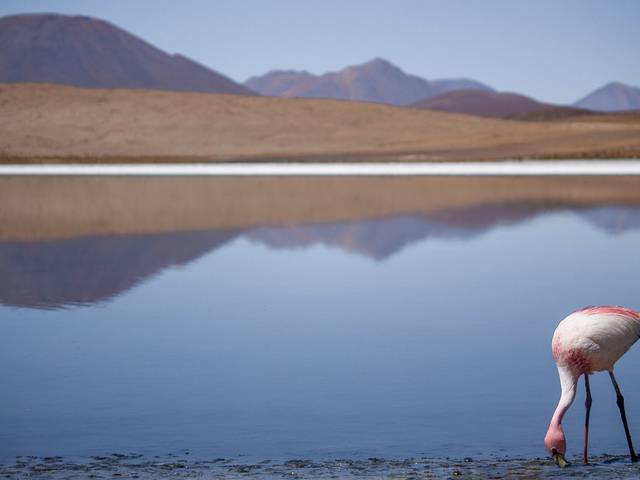 Paisagens de Salar de Uyuni e Reserva Andina