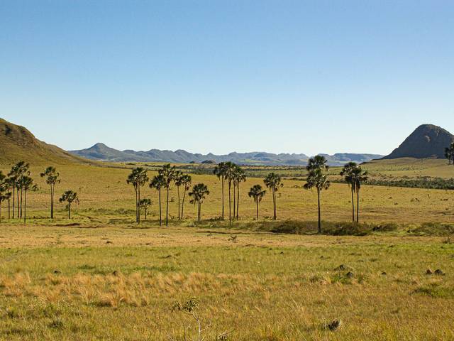 Natureza de Chapada dos Veadeiros