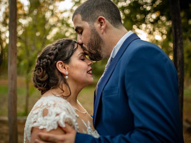 Casamentos de Wedding Day Catarina e Pedro