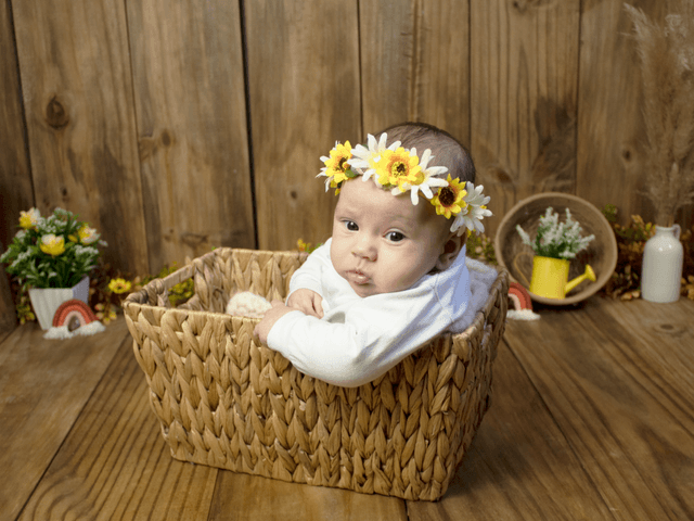 Acompanhamento de Alice - 3 meses
