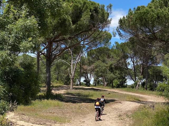 Cycling de Cycling