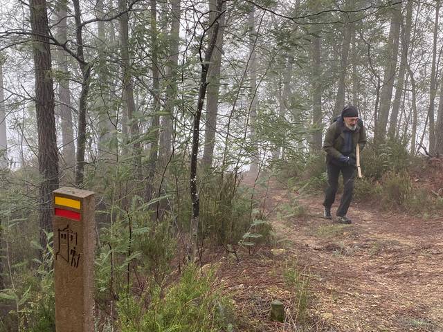 Walking de Walking
