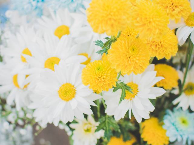 CHÁ DE BEBÊ de CHÁ DE BEBÊ EM PIRATININGA - ZANDRA