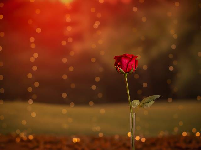 Ensaio de 2 Anos de Um Conto de Dois Anos: O Ensaio do Pequeno Príncipe Bernardo