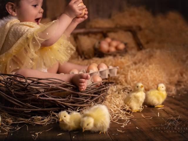 Criança de Ensaio de bebê + Foto de família | 1 ano e 4 meses