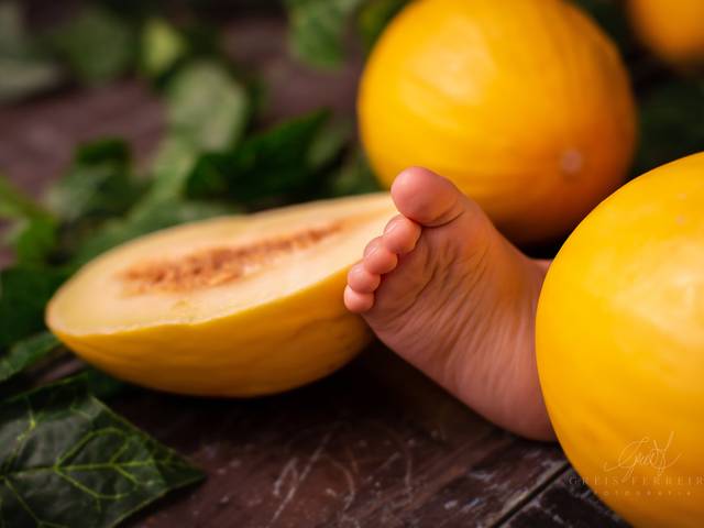 Bebê de 4 a 12 Meses de Ensaio de Bebê com Melão 