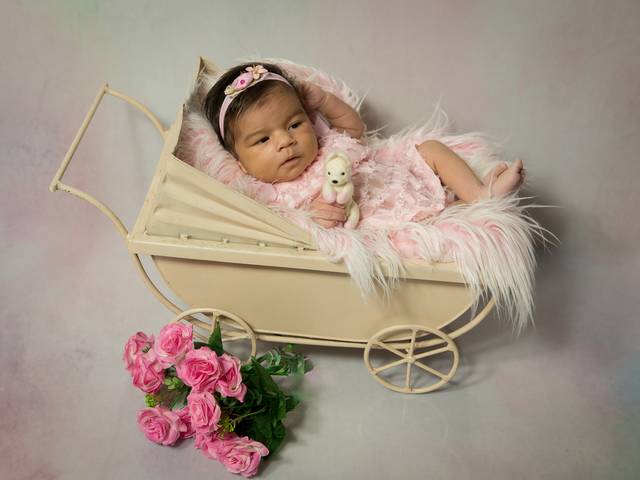 Acompanhamento Mensal de Pyetra - 1º Mês