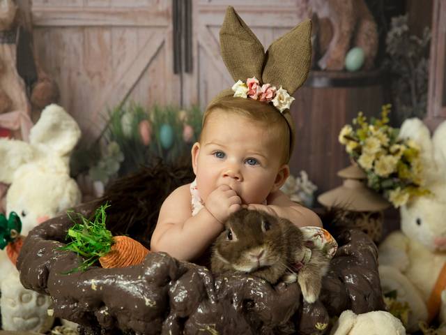 Ensaio Aleatório de Manuella 6º Mês