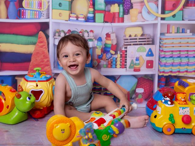 Acompanhamento Mensal de Leo 11º Mês