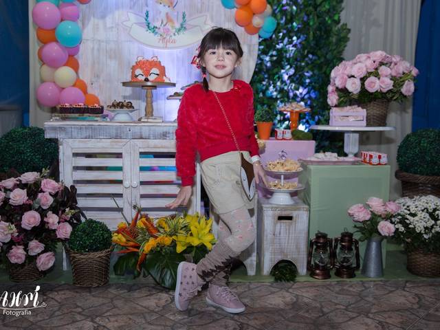 Aniversário Infantil de Ayla 
