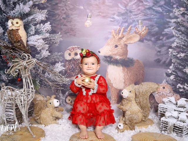 Ensaio Aleatório de Maria Vitória - Ensaio de Natal