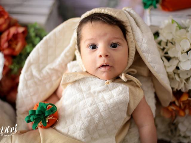 Ensaio Aleatório de Noah - Mini Ensaio de Páscoa