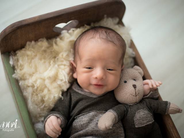 Ensaio Aleatório de Noah 20 Dias