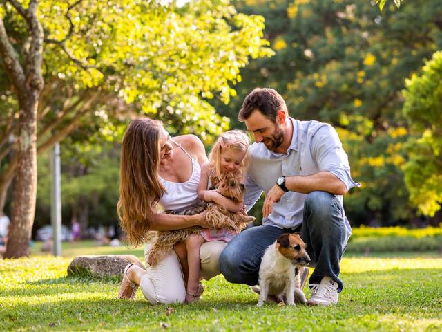 Família de Família Dame