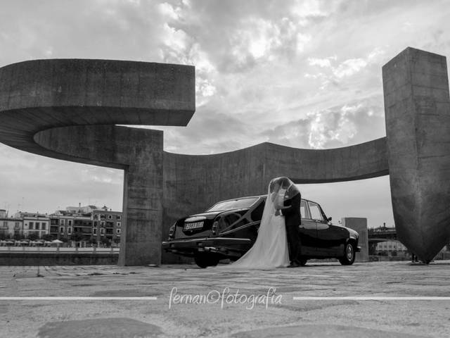 BODA de BODAS
