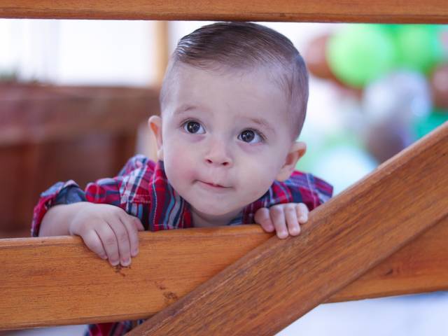 Aniversário Infantil de Enrico - 1 aninho