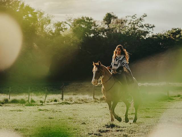 Ensaios de Luiza Damiani