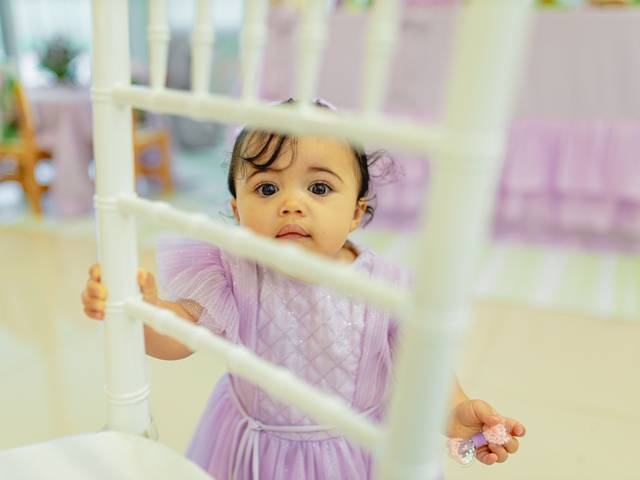 ANIVERSÁRIO  de SOFIA -01 ANO 