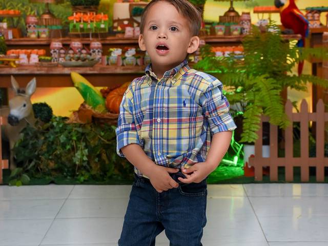 Festa Infantil de João Pedro 2 Anos