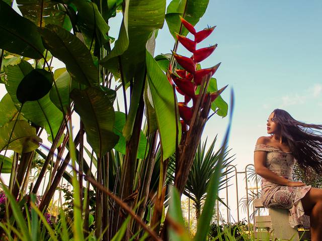 Ensaios pessoal de Vitória Fraga