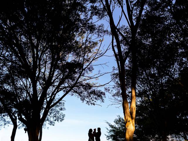 Família  de Família Nogueira 