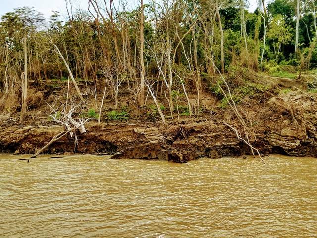 Rios de Rio Amazonas, a caminho de Codajás
