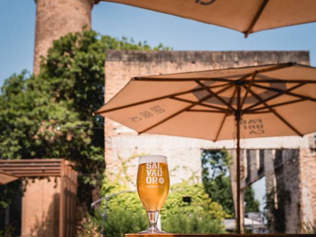 Banco de Imagem de Salvador Brewing Co.