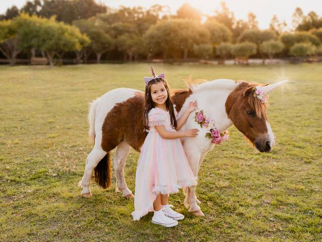 Infantil de Lívia 5 Anos