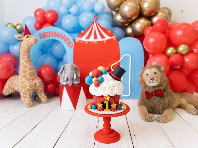 Smash the Cake de Smash the Cake Circo