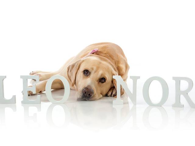 Estúdio de Sessões I