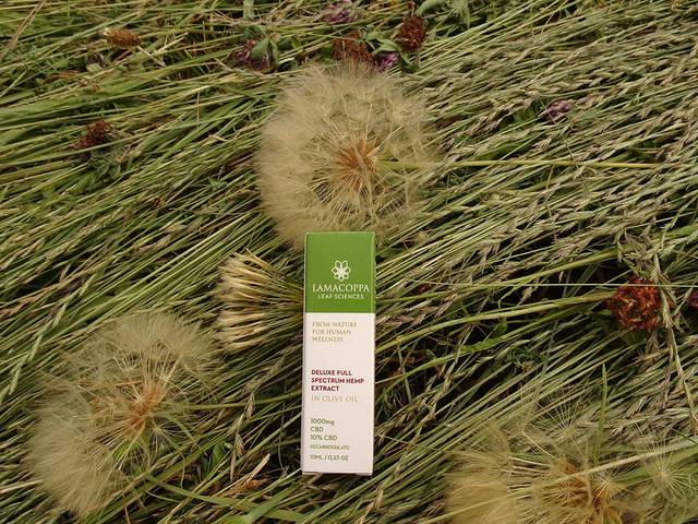 Ensaios de Fotografia Publicitária