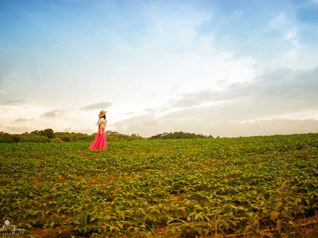 Família de Uma tarde no Campo
