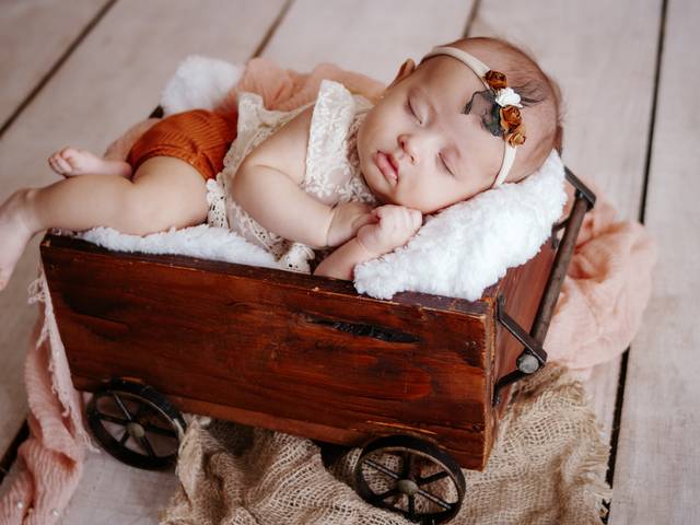 Acompanhamento mensal de Livia