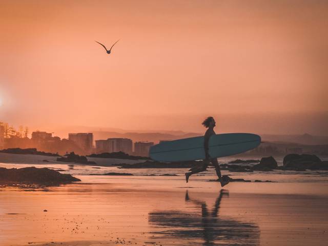 Surf de Surfing Life