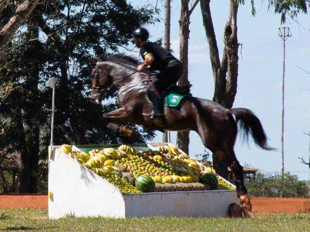 Hipismo de Campeonato do Exército de CCE - Concurso Completo de Equitação
