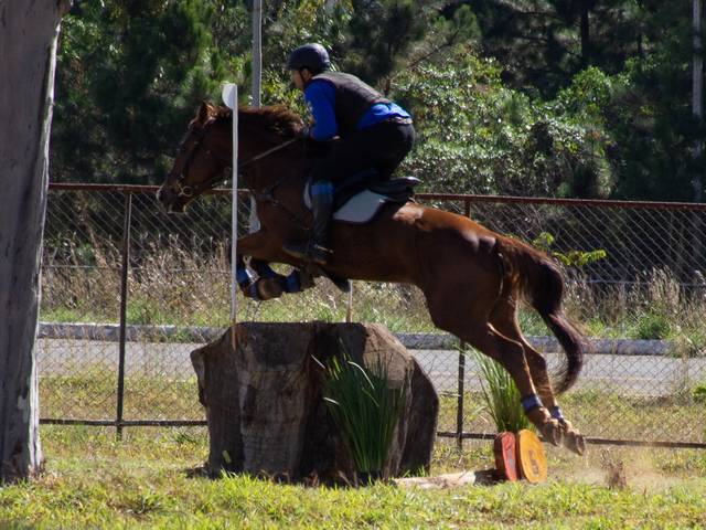 Hipismo de Campeonato do Exército de CCE - Concurso Completo de Equitação