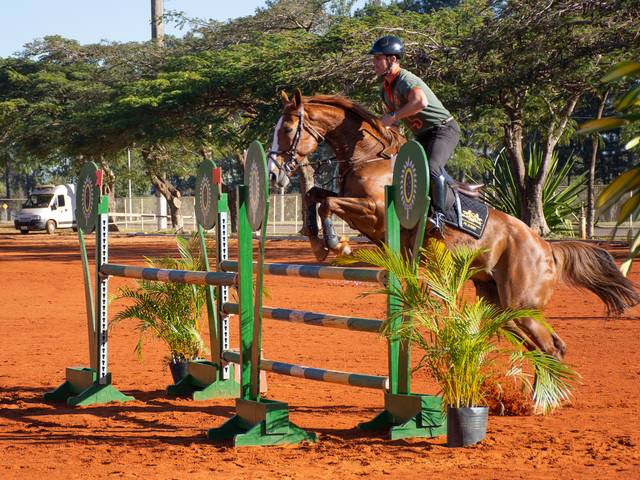 Hipismo de Etapa Interna de Salto