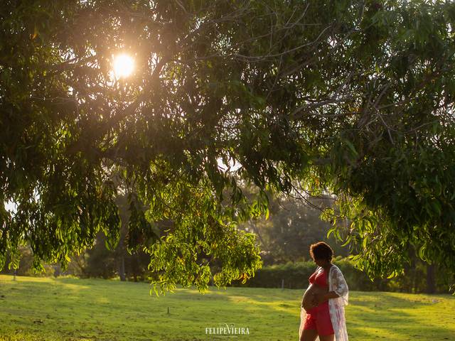 gestantes de Rosi e Celestino... um milagre chamado Liz
