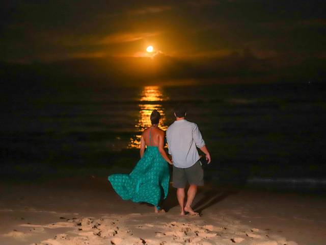 Pedido de Casamento  de Pedido de Casamento Surpresa ao Nascer da Lua em Praia do Forte - Um Momento Mágico e Inesquecível para Thiago e Lais